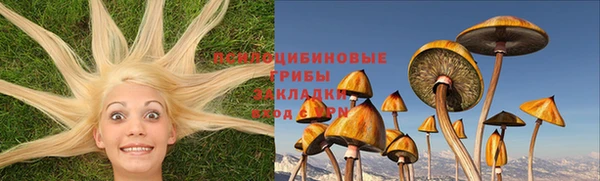 ECSTASY Остров
