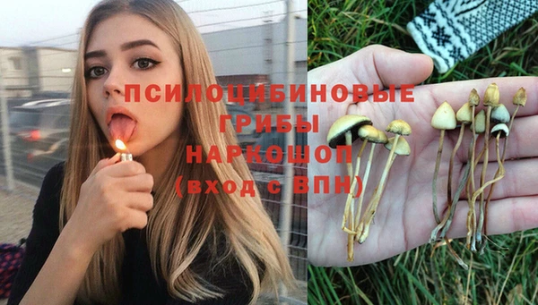 прущая мука Осинники