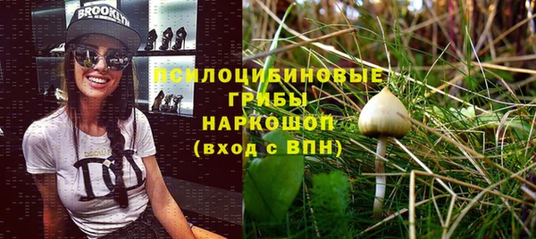 прущая мука Осинники