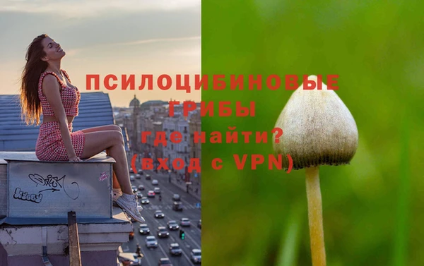 прущая мука Осинники