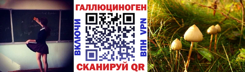 Купить закладки  Заозёрный  Галлюциногенные грибы Magic Shrooms 